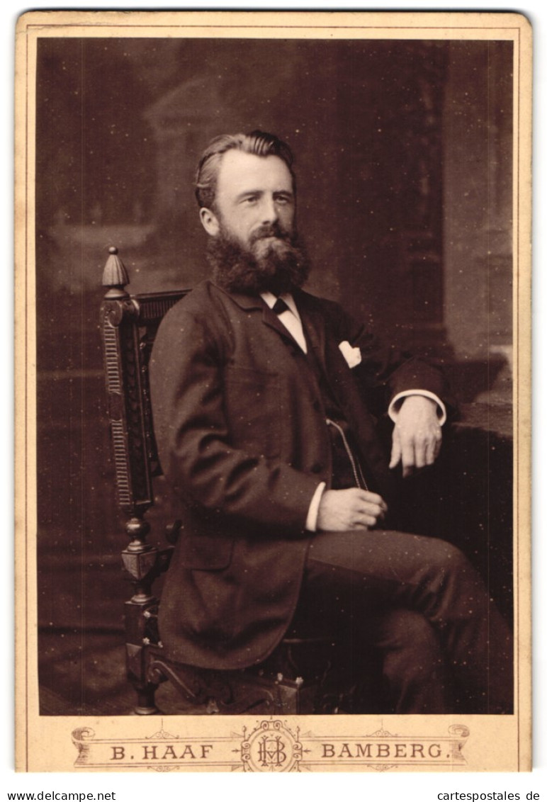 Fotografie B. Haaf, Bamberg, Elegant Gekleideter Herr Mit Vollbart  - Anonieme Personen