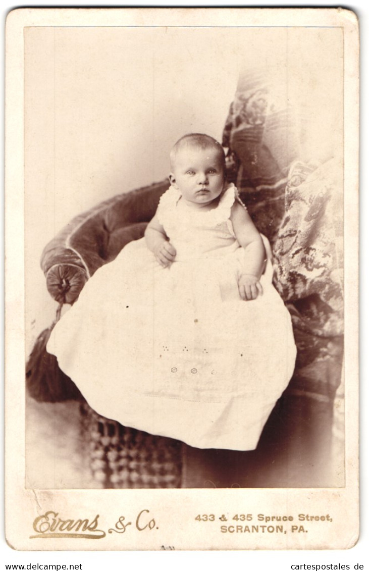 Fotografie Evans & Co., Scranton, Pa., 433 & 435, Spruce Street, Süsses Kleinkind Im Langen Kleid  - Anonymous Persons