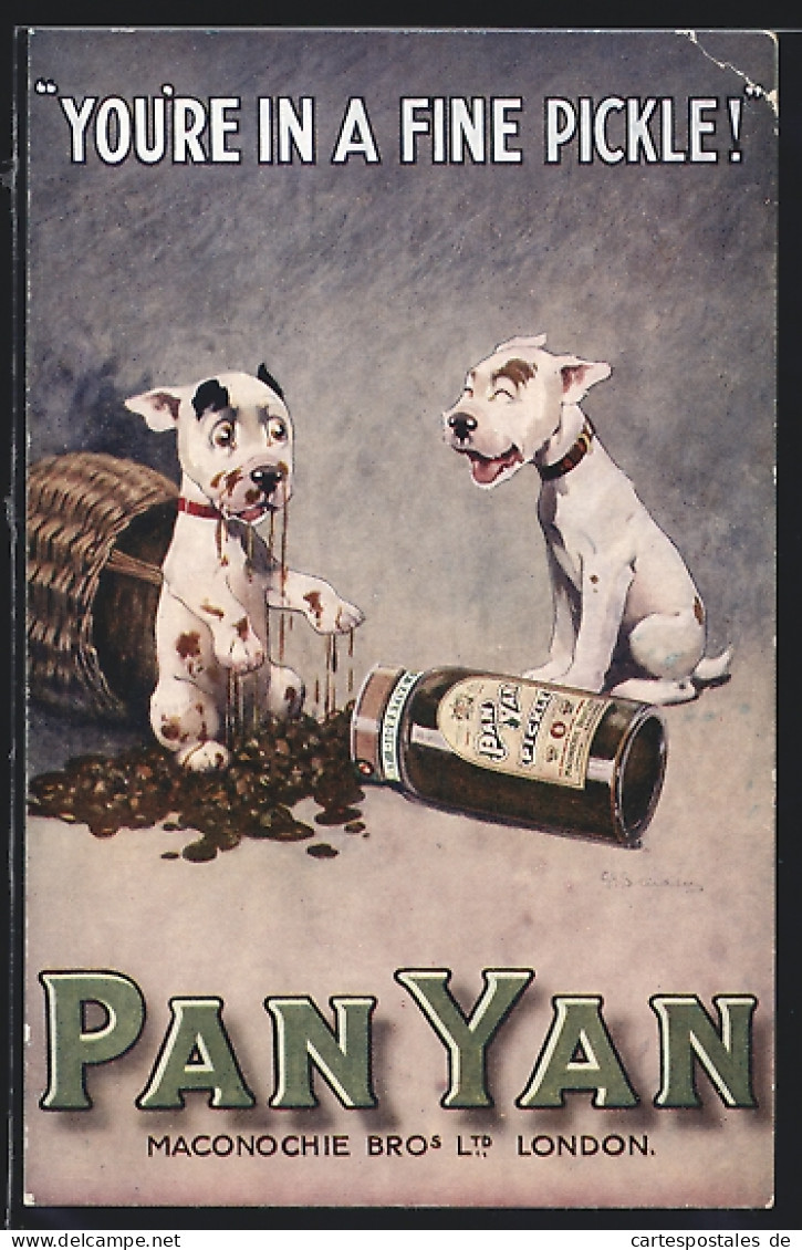 AK Reklame Pan Yan, Maconochiue Bro`s Ltd. London, Hund Voll Mit Pickels  - Publicité