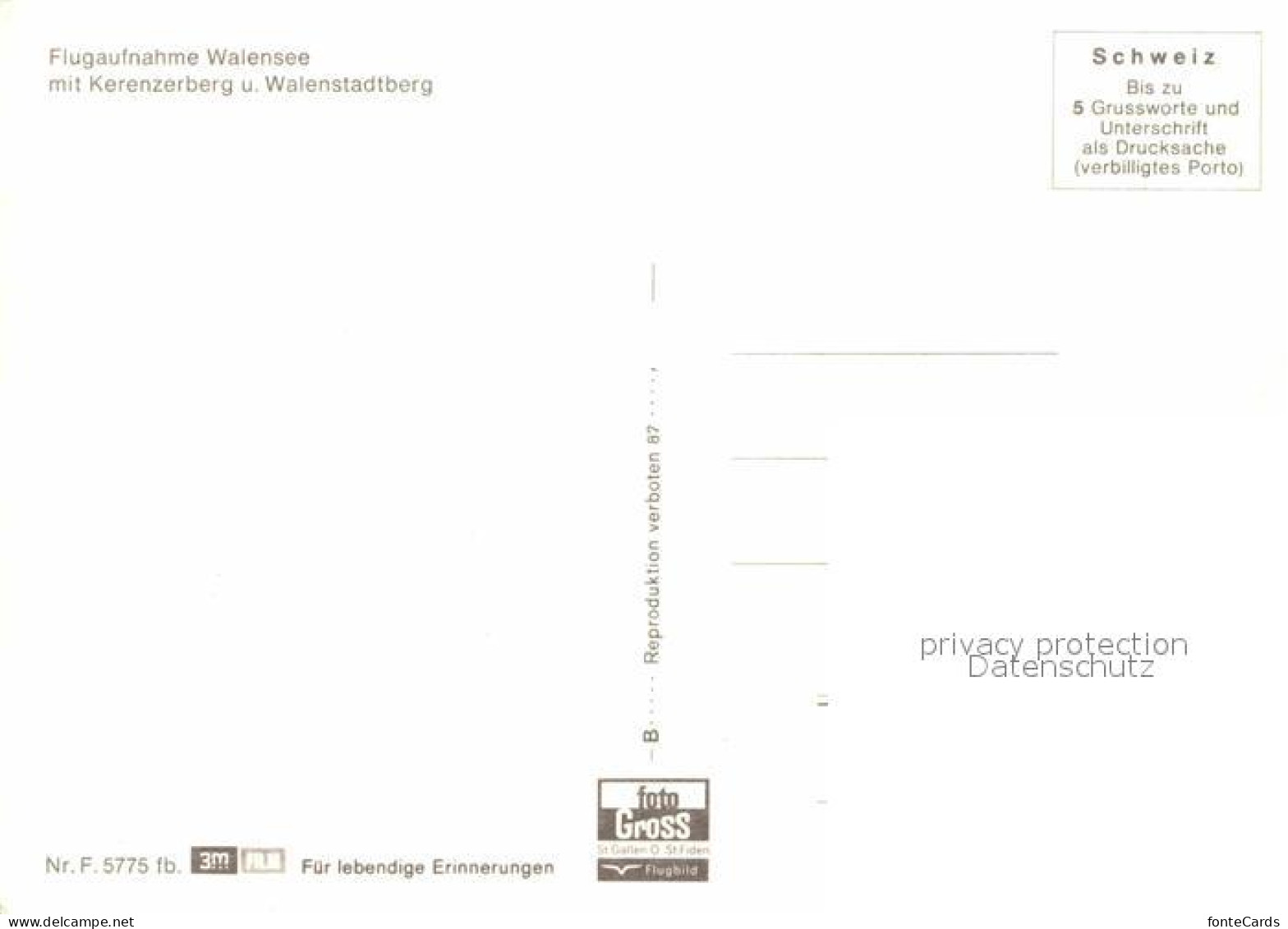 12678394 Walensee Fliegeraufnahme Mit Kerenzerberg Ud Walenstadtberg Walenstadt - Other & Unclassified