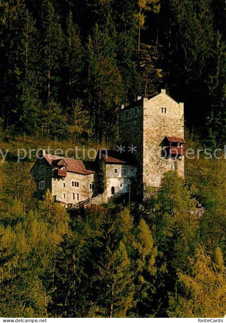 12678381 Sils Domleschg Burg Ehrenfels Jugendherberge Sils Domleschg - Autres & Non Classés