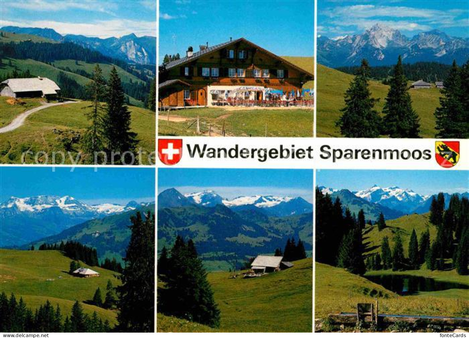 12678352 Zweisimmen Wandergebiet Sparenmoos Zweisimmen - Otros & Sin Clasificación