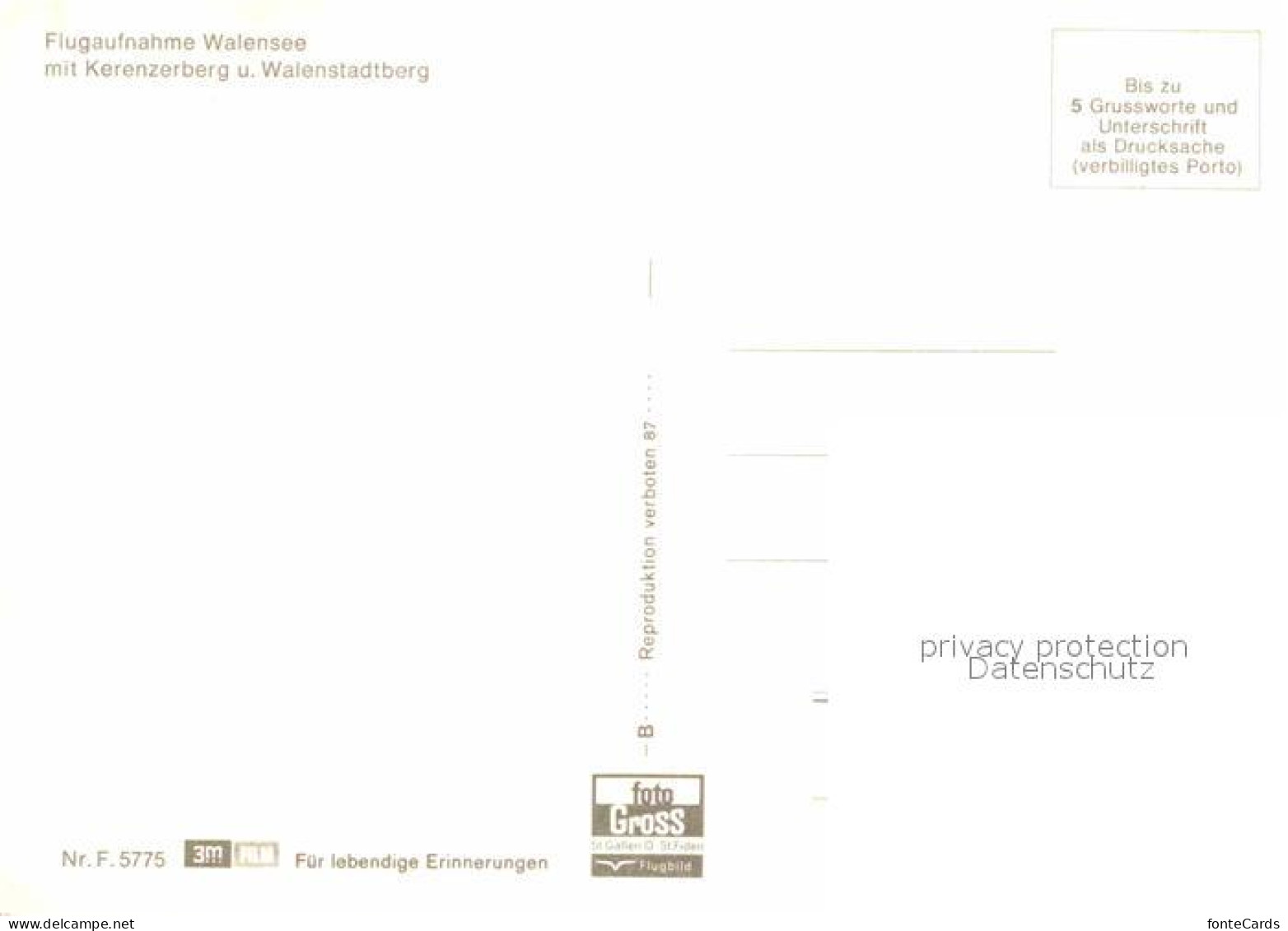 12678160 Walensee Fliegeraufnahme Mit Kerenzerberg Und Walenstadtberg Walenstadt - Other & Unclassified