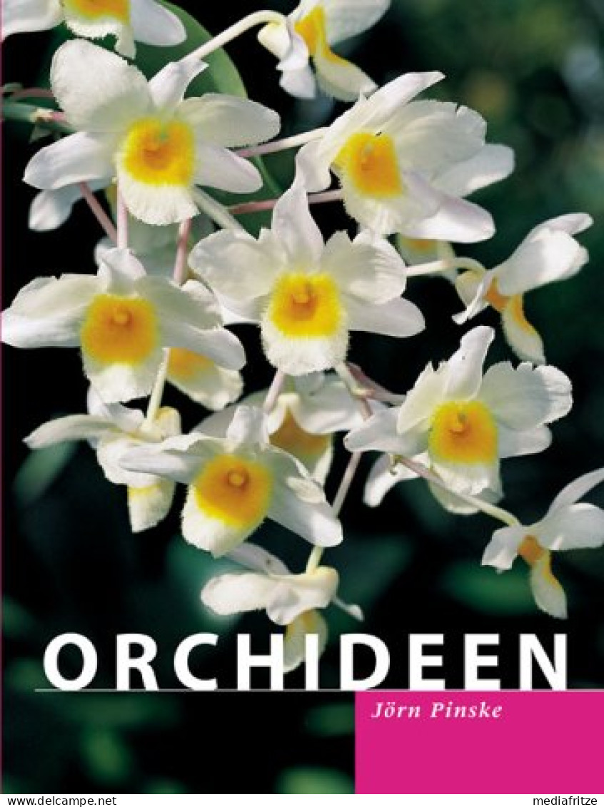 Orchideen - Unclassified