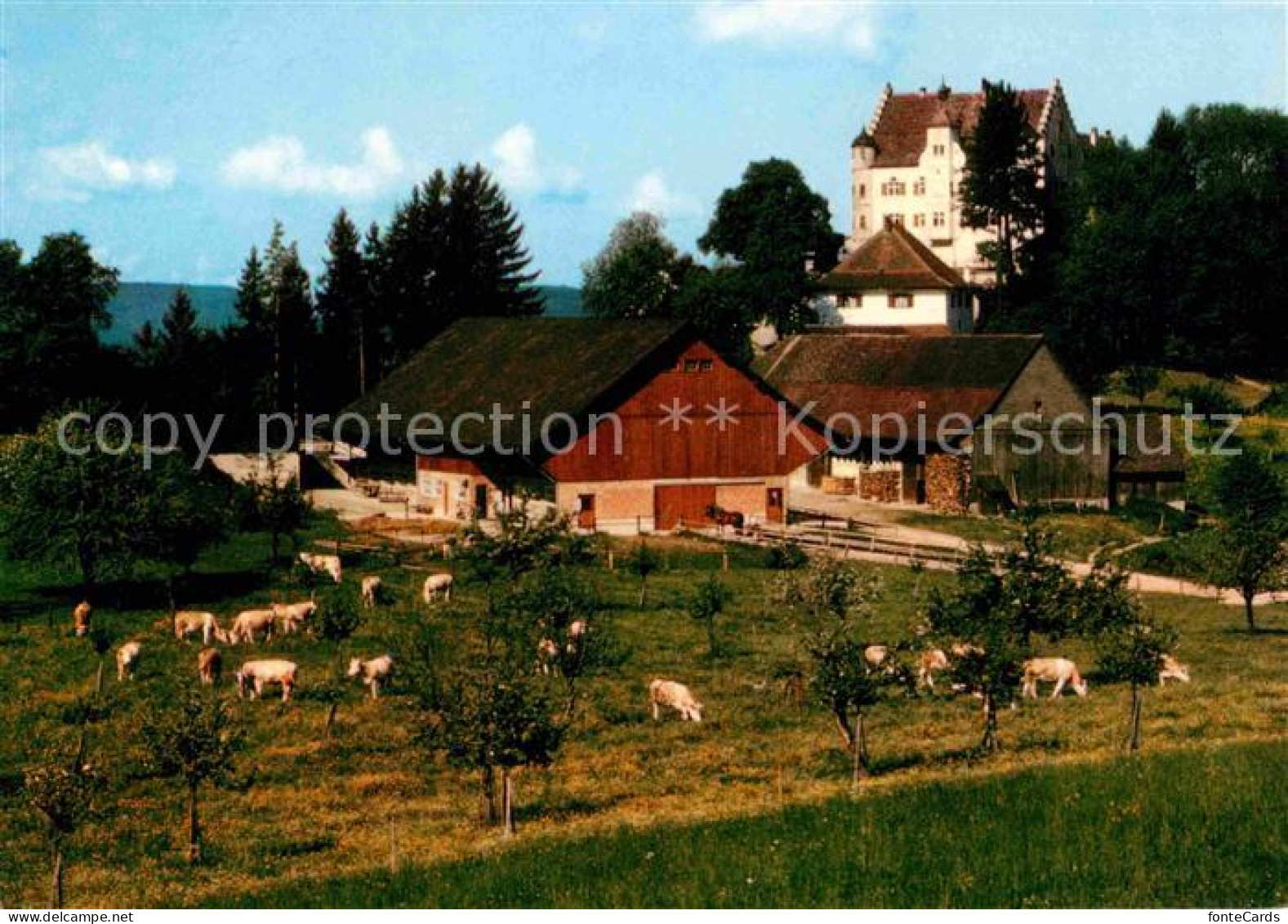 12677440 Stettfurt Schloss Sonnenberg Stettfurt - Andere & Zonder Classificatie