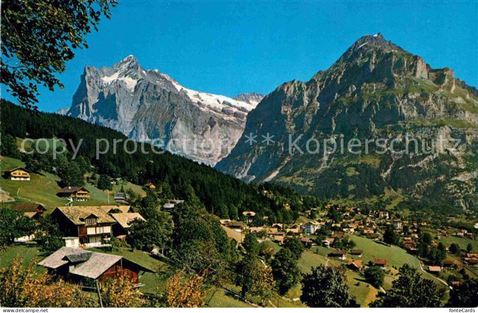 12677423 Grindelwald Wetterhorn Mit Mettenberg Grindelwald - Otros & Sin Clasificación