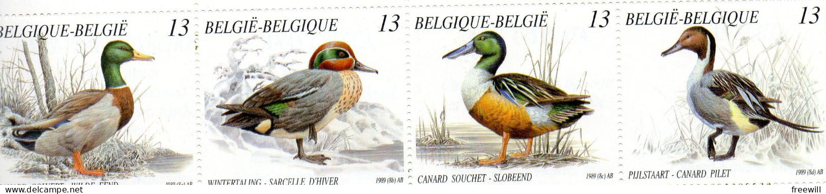 Canards- Eenden- Ducks  1989 XXX - Nuovi