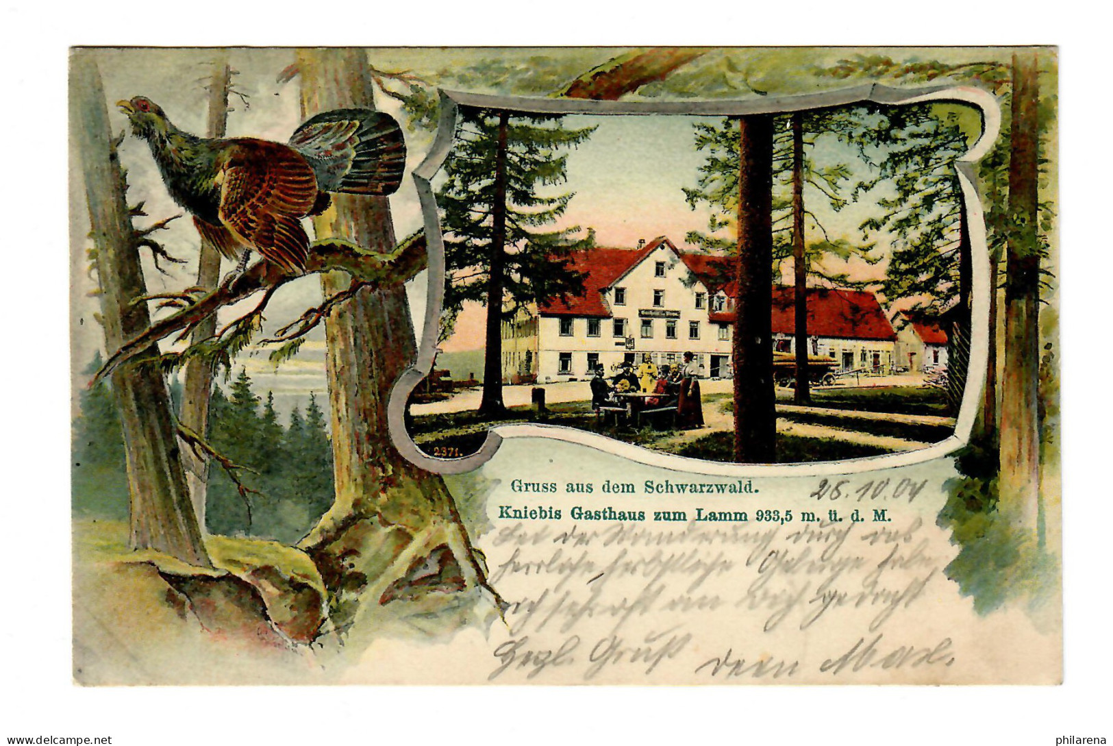 Ansichtskarte Gruß Aus Dem Schwarzwald, Kniebis Nach Straßburg 1901 - Storia Postale