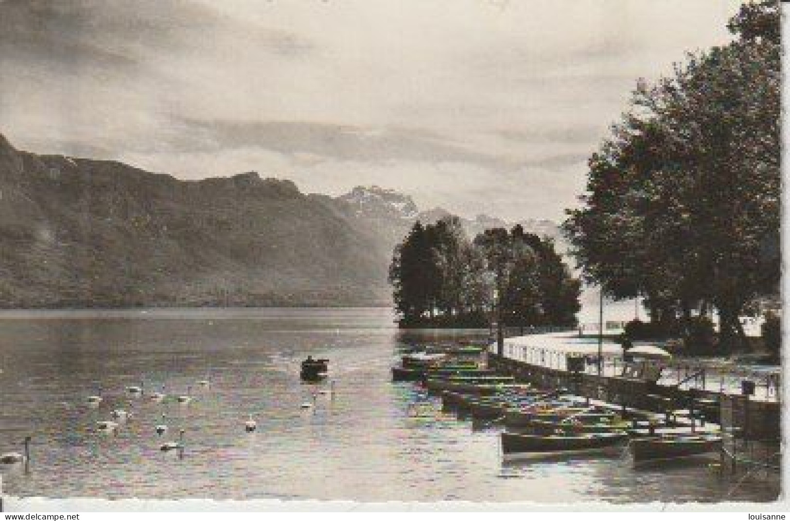 ANNECY  ( 74 )  LE LAC ET  L'ILE  AUX  CYGNES  VUS  DU  PONT DES  AMOURS   -  CPSM  ( 24/ 4 / 134  ) - Annecy