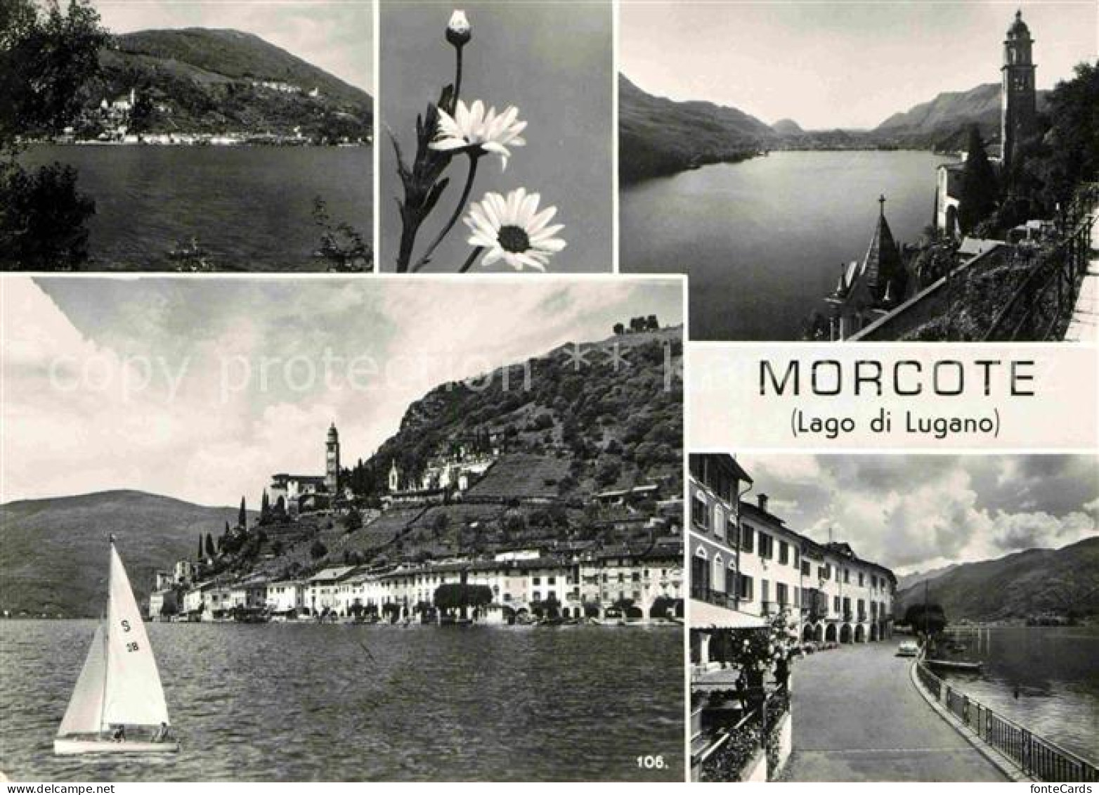 12674148 Morcote Lago Di Lugano Panorama Luganersee Segeln Uferstrasse Kirche Al - Andere & Zonder Classificatie