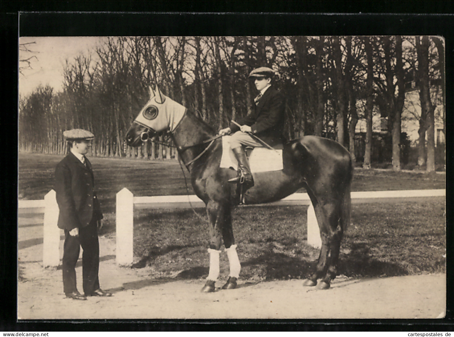 AK Reiter Auf Pferd Mit Scheuklappen  - Paardensport