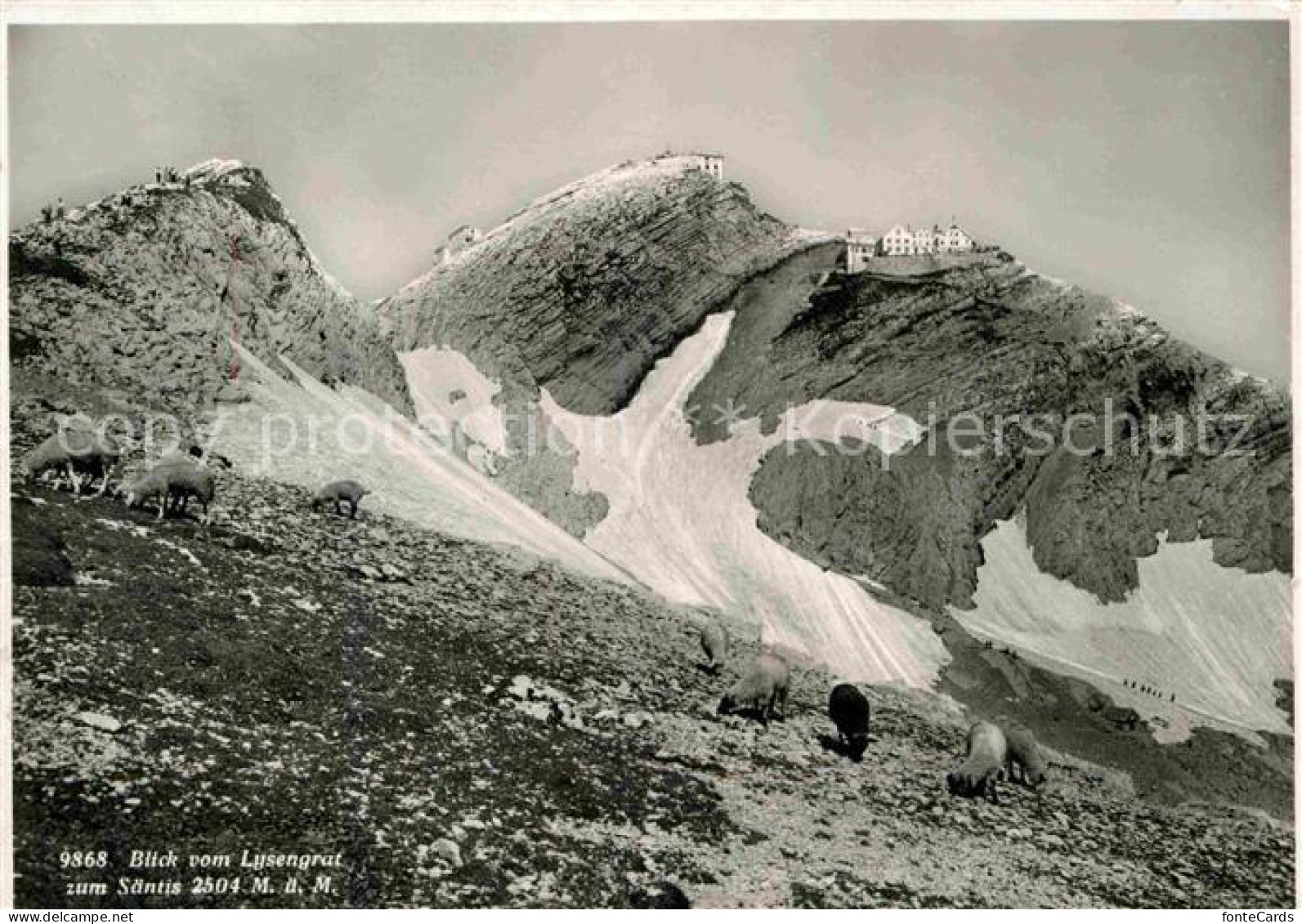 12672334 Lysengrat Blick Zum Saentis Appenzeller Alpen Lysengrat - Autres & Non Classés