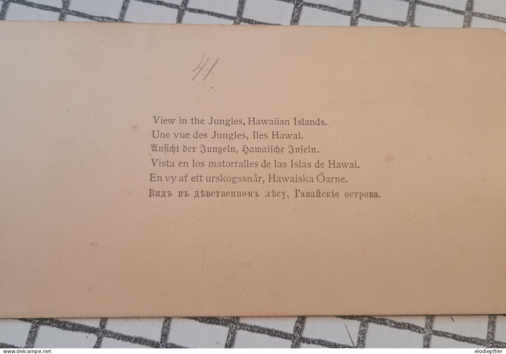 Une Vue Des Jungles. Iles Hawai. Underwood Stéréo - Visionneuses Stéréoscopiques