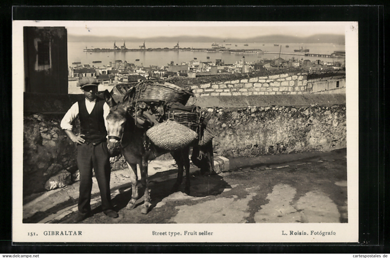 AK Gibraltar, Obstverkäufer Mit Lastesel  - Donkeys