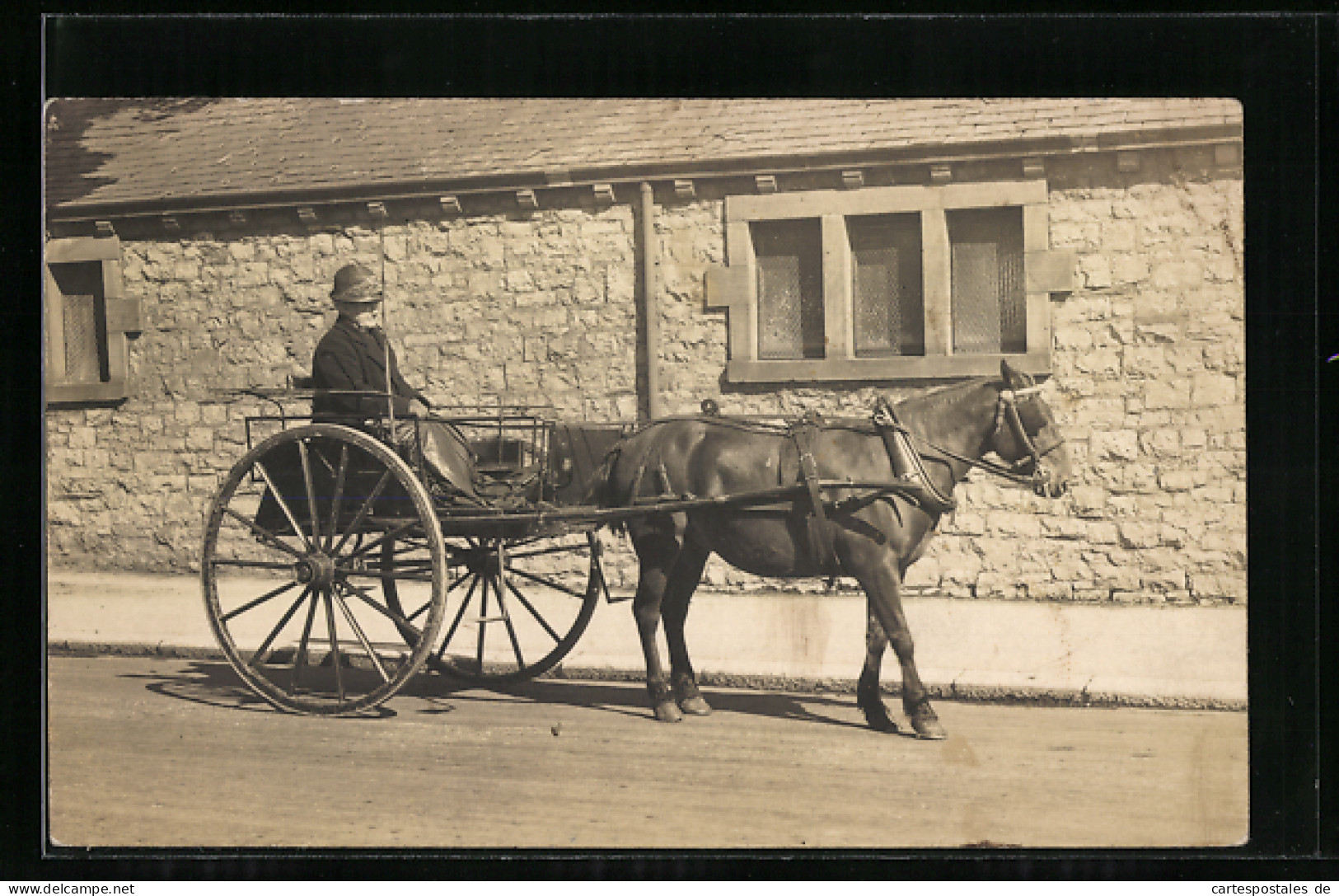 AK Ältere Dame Im Einspänner Auf Einer Strasse  - Horses