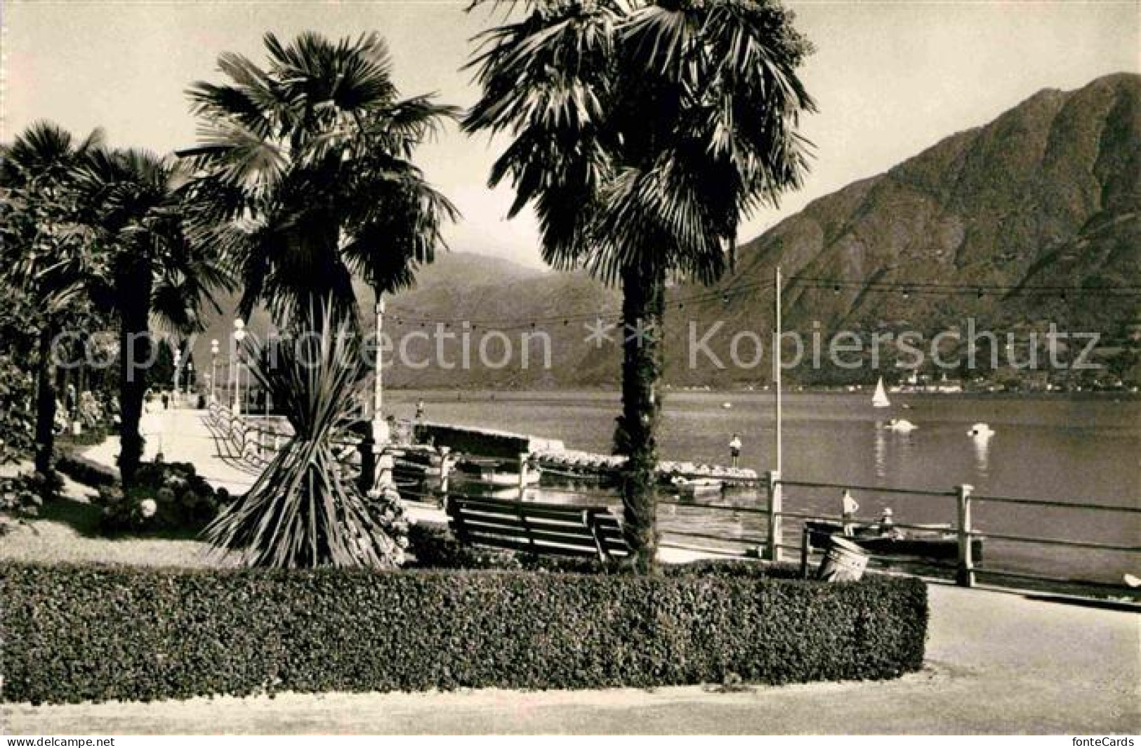 12672244 Locarno TI Lungolago Uferpromenade Lago Maggiore Locarno - Autres & Non Classés