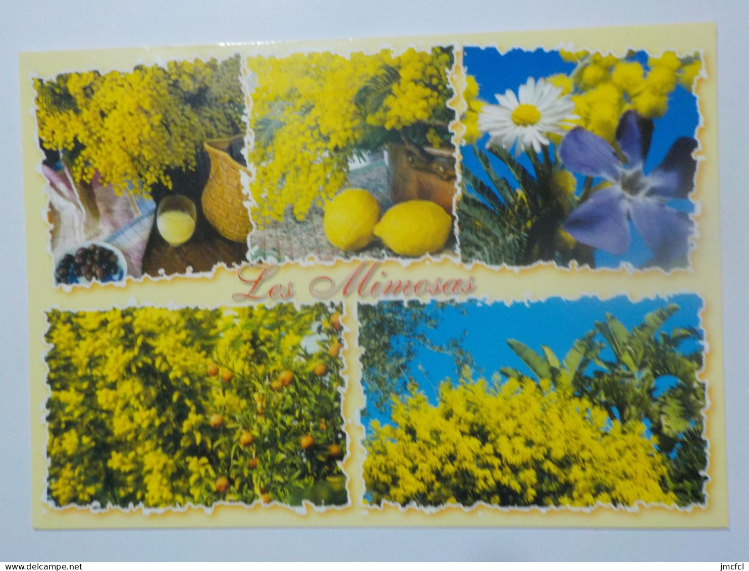 LA MEDITERRANEEN ( Dept 06-83-13-Cote d'Azur)   56 Cartes  a 0.20 euros l'une