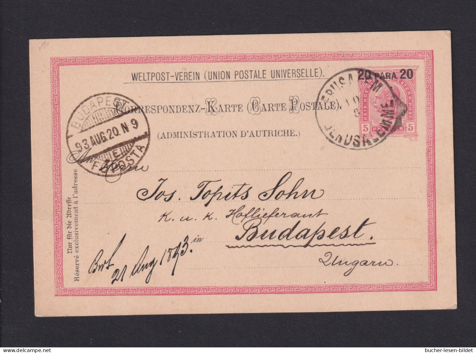 1893 - 20 P. österreichische Ganzsache Ab Gerusalemme Nach Budapest - Palestine