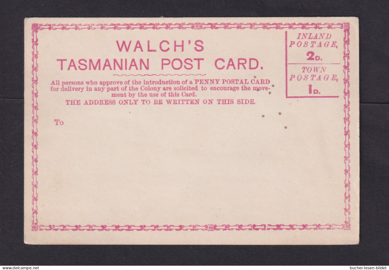 Beige Vordruckkarte "Walch's Tasmanian Post Card" - Ungebraucht - Brieven En Documenten