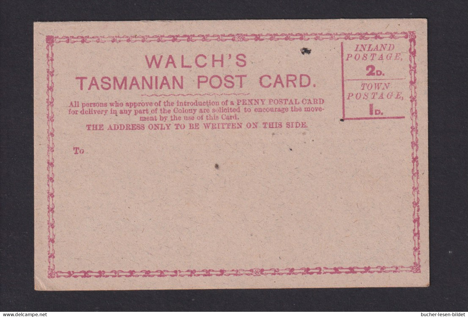 Bräunliche Vordruckkarte "Walch's Tasmanian Post Card" - Ungebraucht - Brieven En Documenten