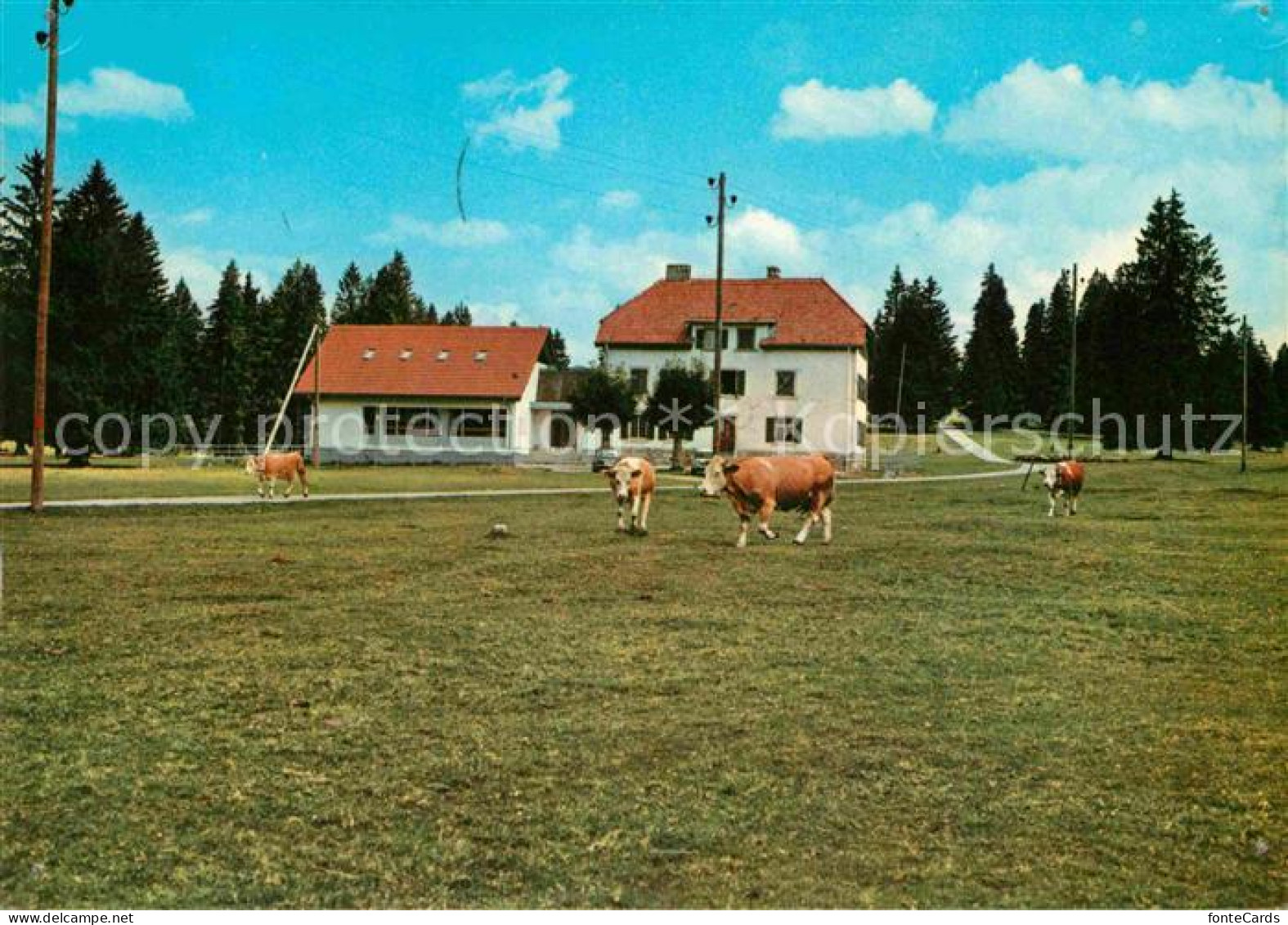 12668588 Les Emibois Maison De Vancances De Boncourt Les Emibois - Andere & Zonder Classificatie