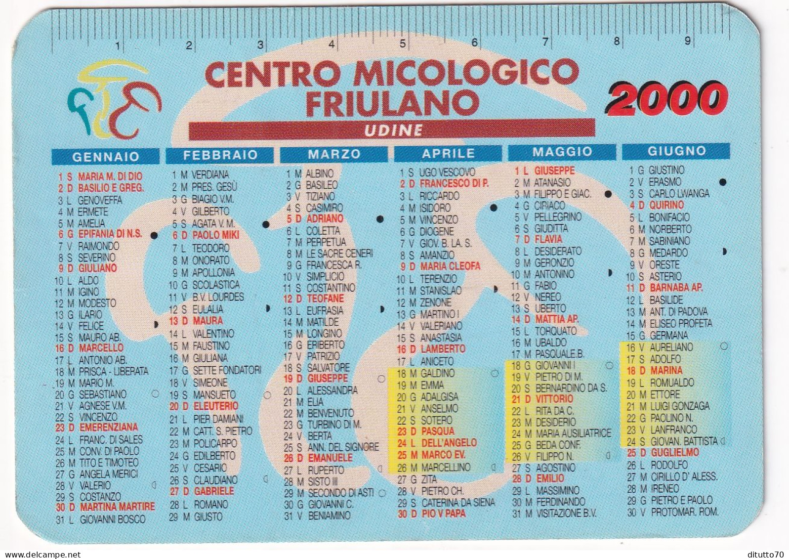 Calendarietto - Centro Micologico Friulano - Udine - Anno 2000 - Formato Piccolo : 1991-00