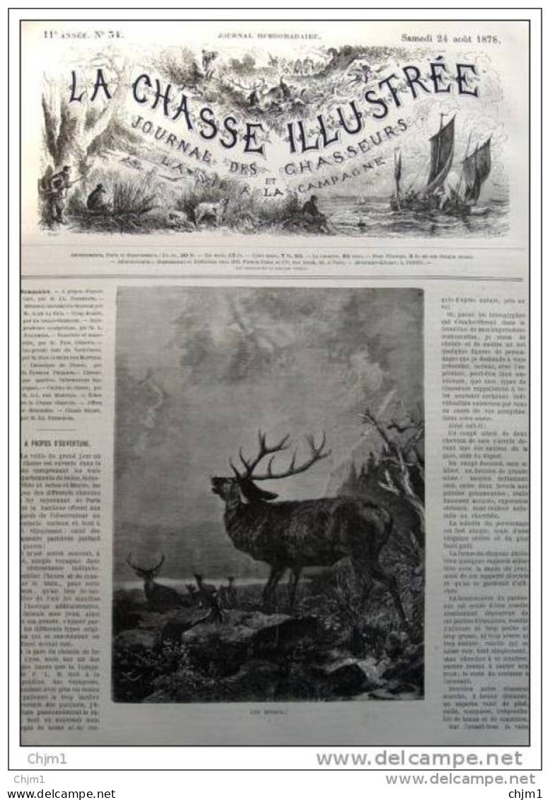 Hirsch Vor Dem Kampf - Cerf - Gravure - Page Original  1878 - Prenten & Gravure