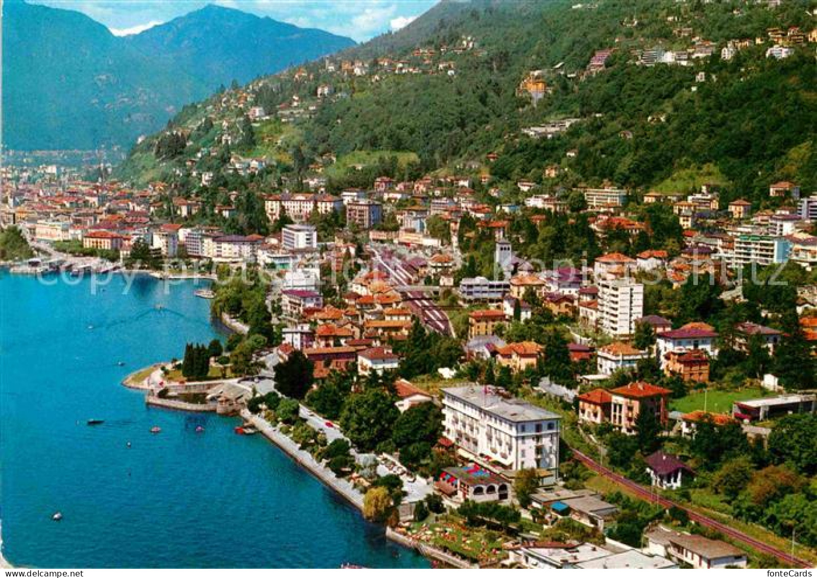 12664494 Muralto Lago Maggiore Panorama Muralto - Andere & Zonder Classificatie