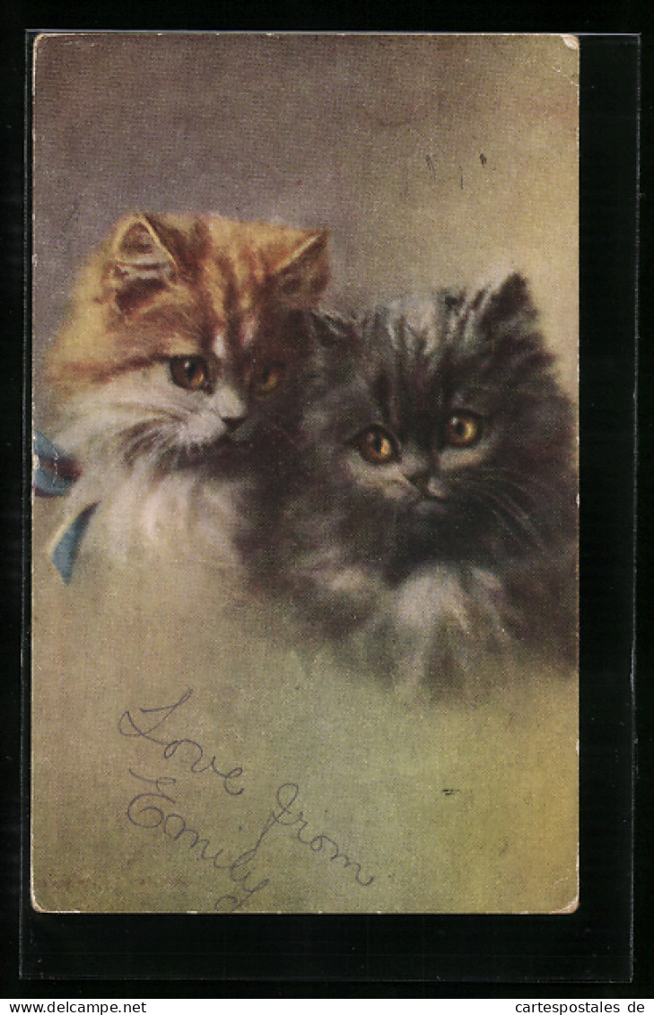 AK Zwei Kleine Katzen Mit Wolligem Fell  - Gatos