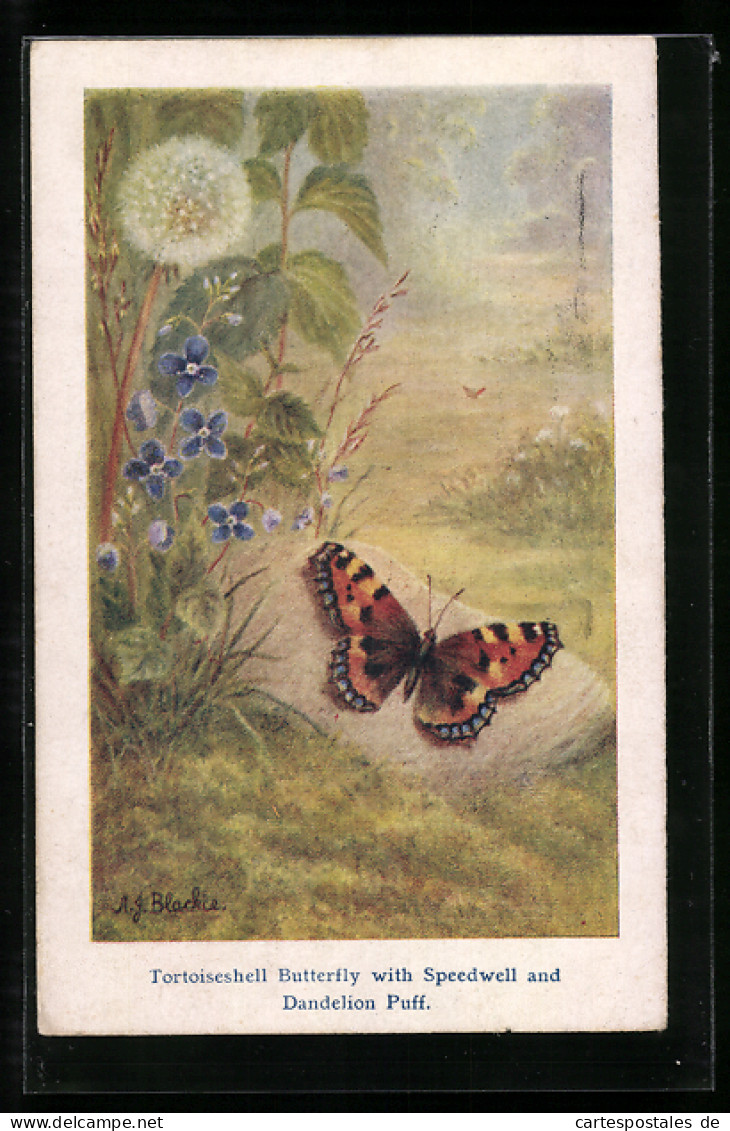 Künstler-AK Tortoiseshell Butterfly With Speedwell And Dandelion Puff, Schmetterling  - Insectes