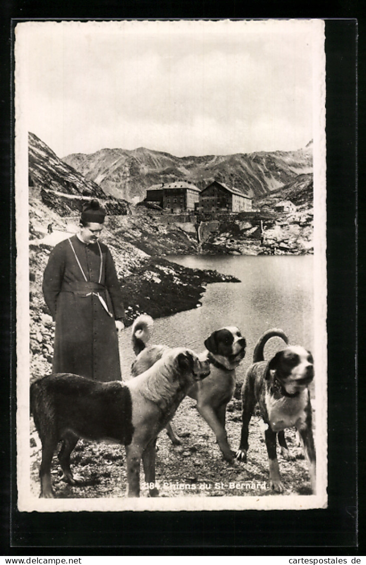 AK Bernhardiner Und Priester  - Honden