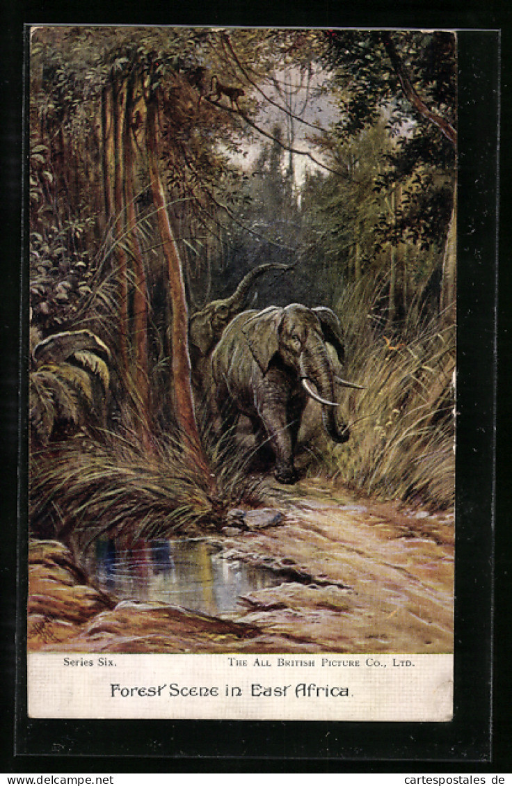 AK Forest Scene In East Africa, Elefanten  - Éléphants