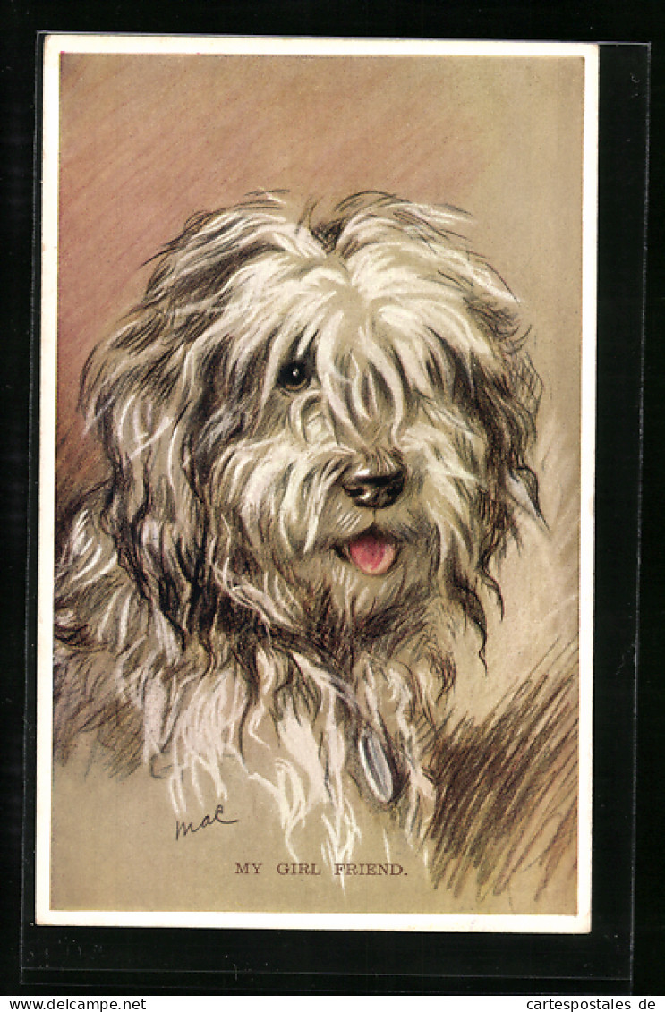 AK Portrait Eines Weissen Terriers  - Hunde