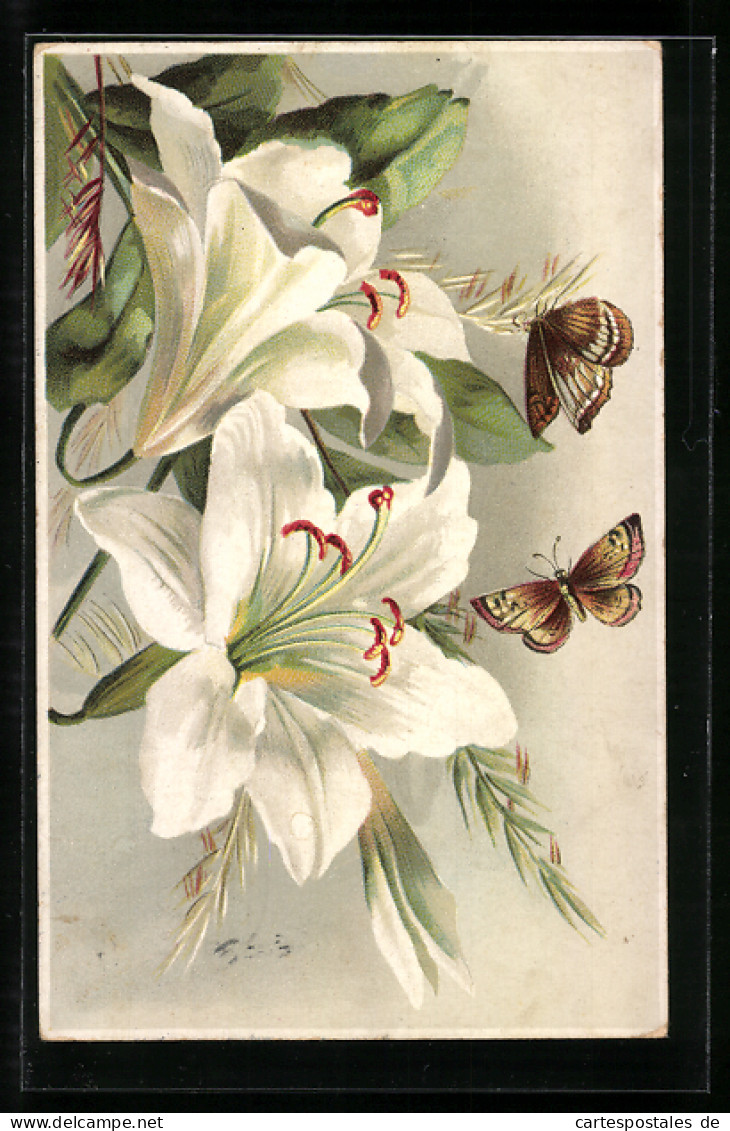 Lithographie Zwei Schmetterlinge Und Weisse Lilien  - Insekten