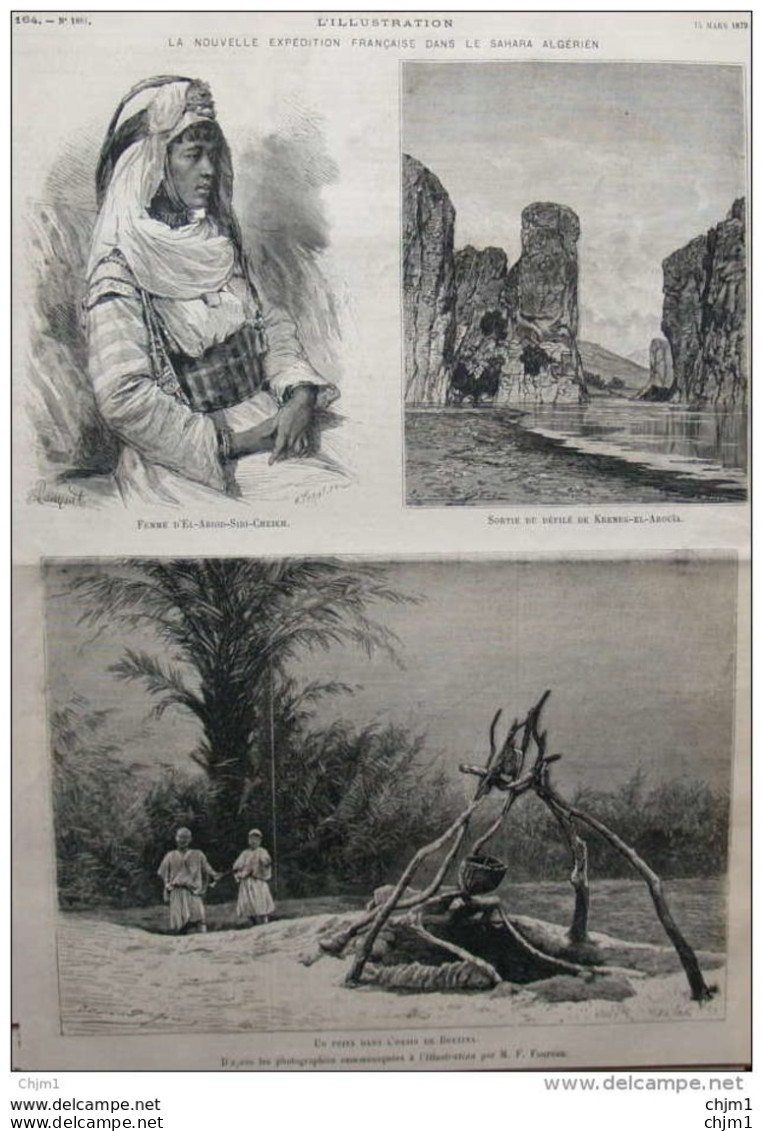 Femme D'El-Abioud-Sidi-Cheikh - Un Puits Dans L'oasis De Brezina - Page Original 1879 - Historische Dokumente
