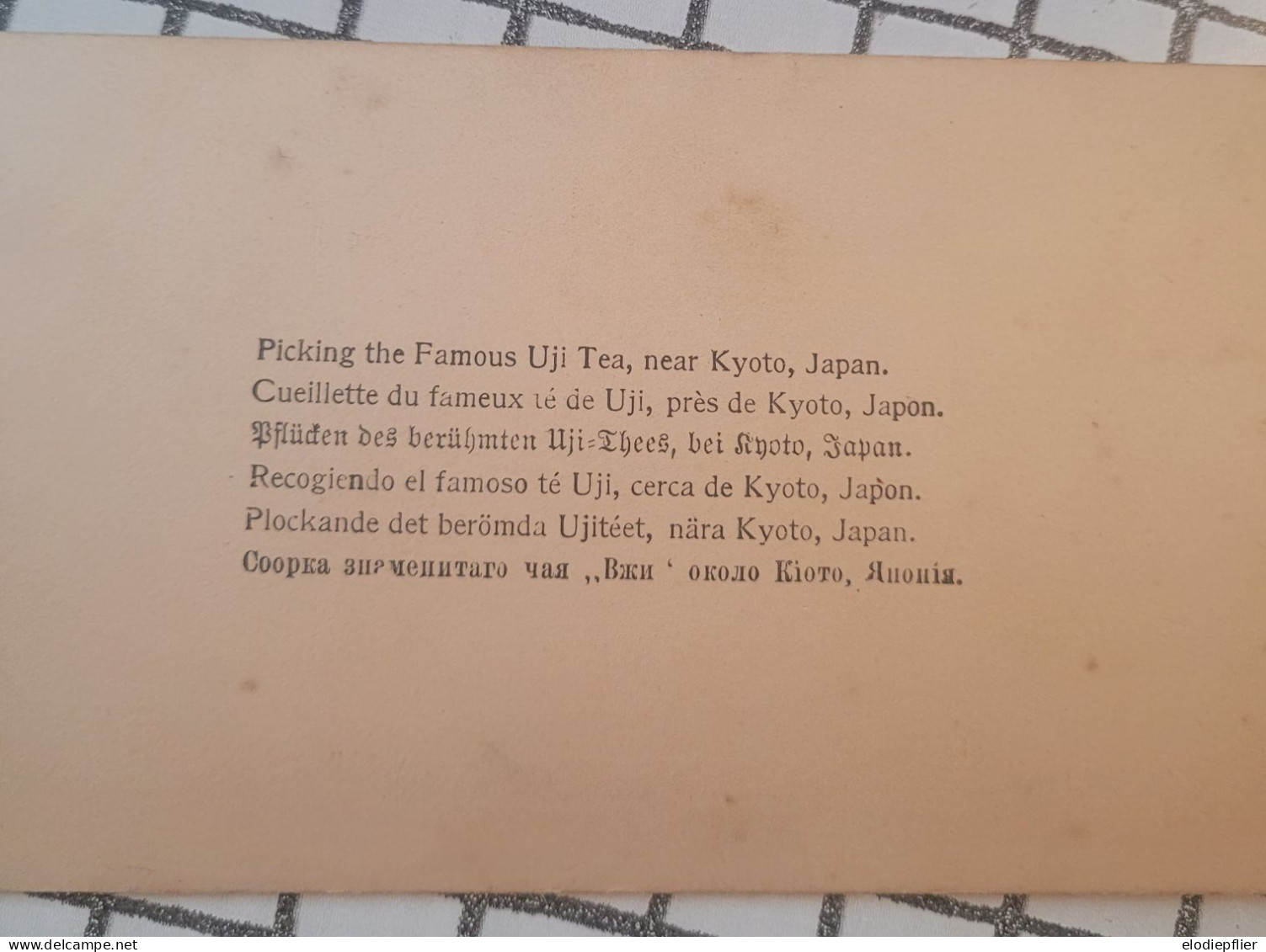 Cueillette Du Fameux Té De Uji, Près De Kioto, Japon. Underwood Stéréo - Stereoscopes - Side-by-side Viewers