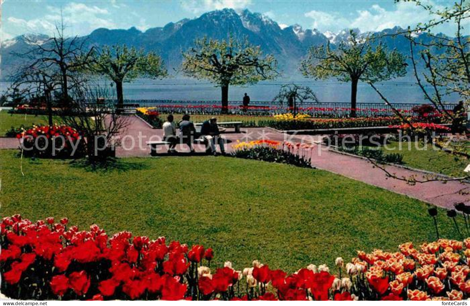 12653050 Montreux VD Quais Et Les Alpes Montreux - Otros & Sin Clasificación