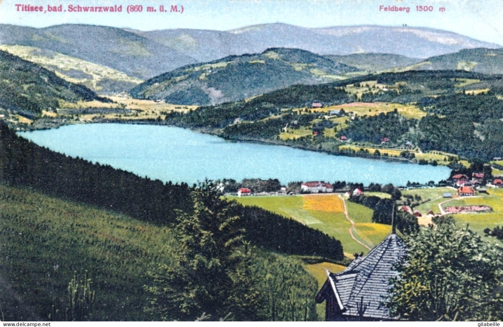 Titisee-Neustadt -  Schwarzwald - Titisee - Titisee-Neustadt