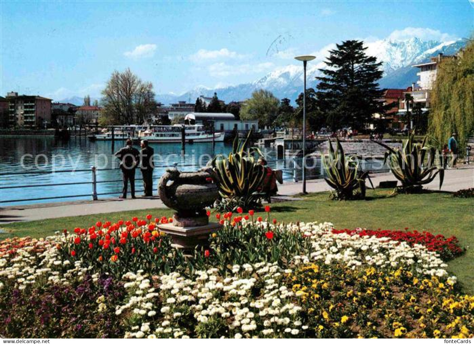 12649244 Locarno Lago Maggiore Uferpromenade Am See Blumenbeet Locarno - Andere & Zonder Classificatie