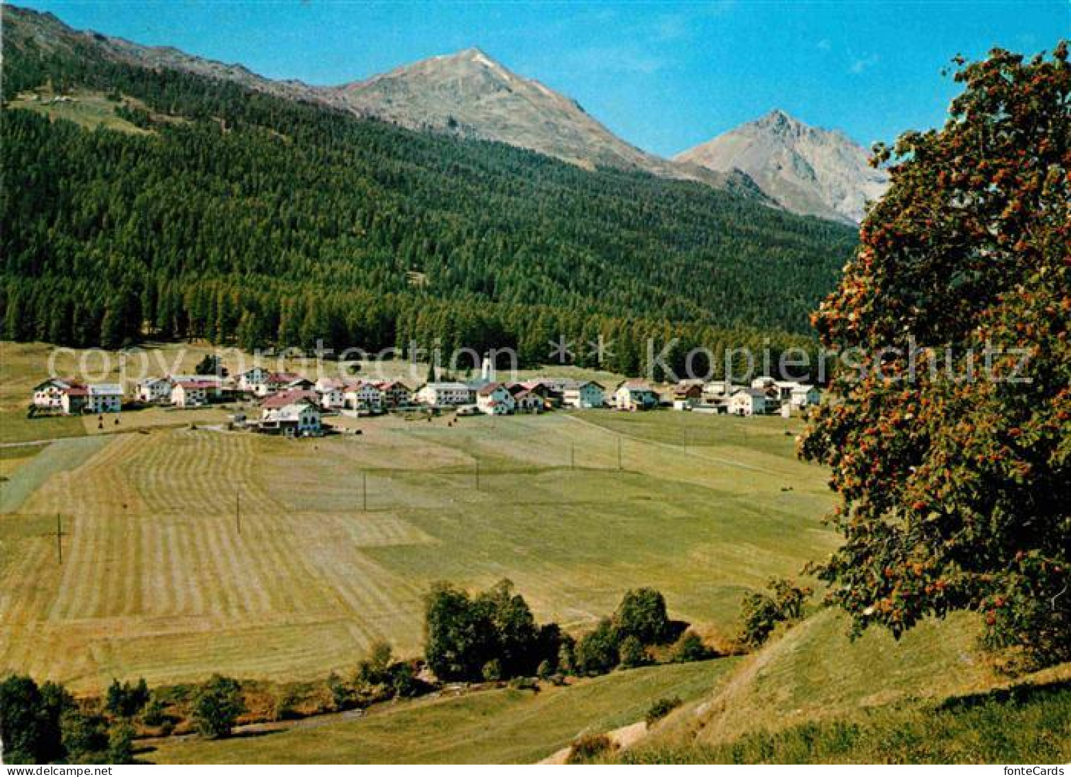 12649212 Fuldera Val Muestair Mit Piz D Oro Und Piz D'Aint Albulaalpen Fuldera - Autres & Non Classés