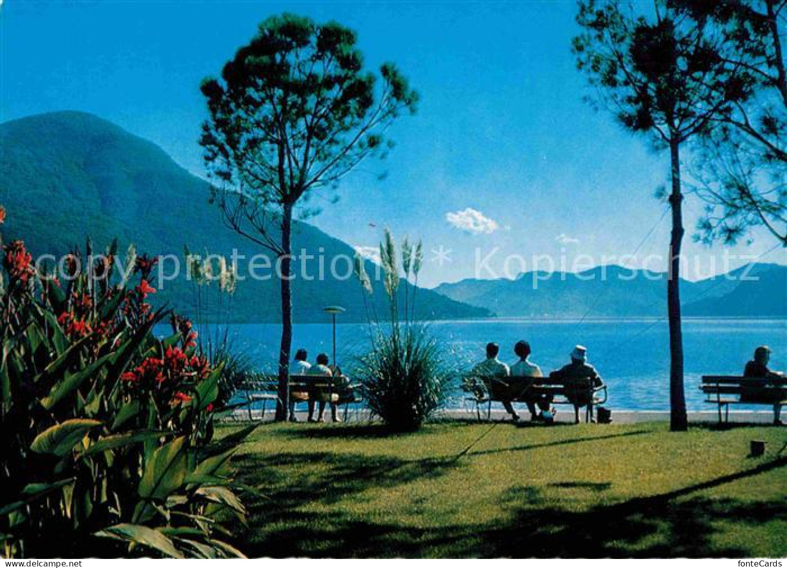 12649202 Brissago TI Uferpromenade Lago Maggiore Brissago - Andere & Zonder Classificatie