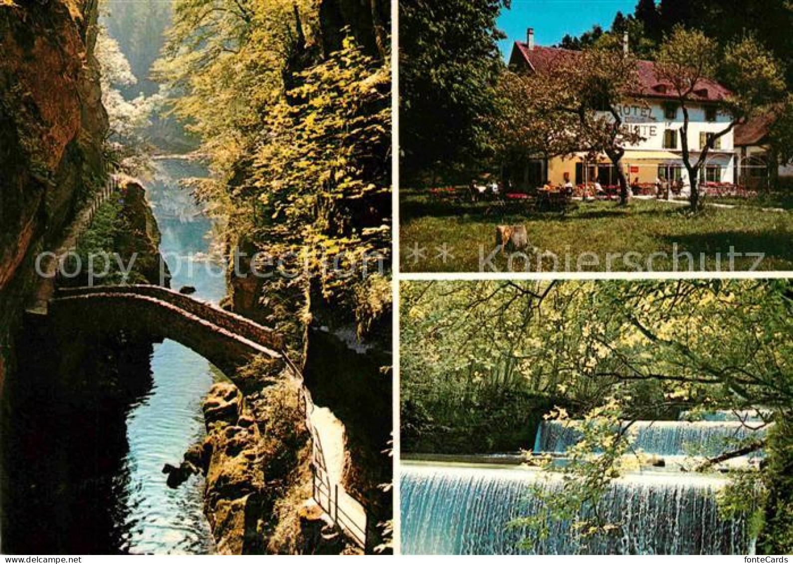 12649194 Boudry Les Gorges De L'Areuse Schlucht Wasserfall Bruecke Hotel Boudry - Andere & Zonder Classificatie