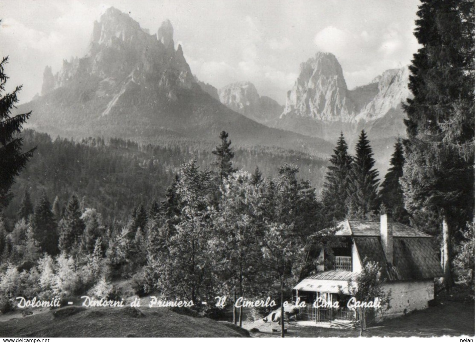 DOLOMITI - DINTORNI DI PRIMIERO - IL CIMERLO E LA CIMA CANALI - F.G. - Trento