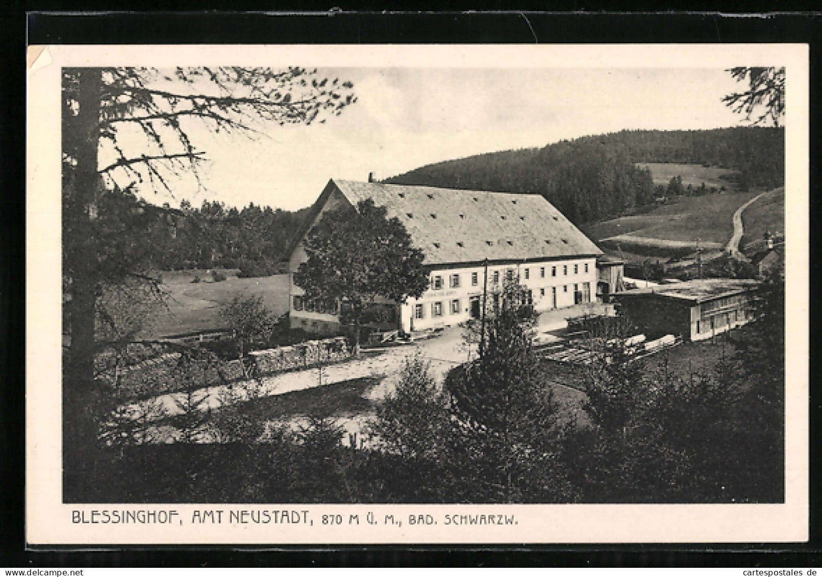 AK Neustadt / Schwarzwald, Blessinghof Mit Umgebung Aus Der Vogelschau  - Autres & Non Classés