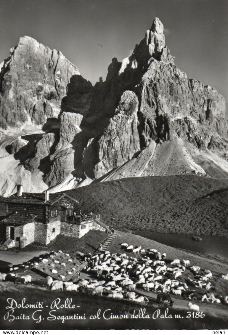 DOLOMITI - ROLLE - BAITA G. SEGANTINI COL CIMON DELLA PALA - F.G. - Trento