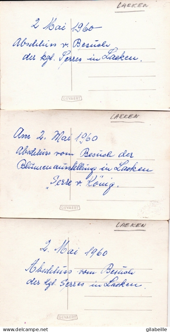 LAEKEN - BRUXELLES - Mai 1960 - Lot 3 Cartes Photo - Visite Des Serres De Laeken - Bezoek Aan De Serres Van Laken - Laeken