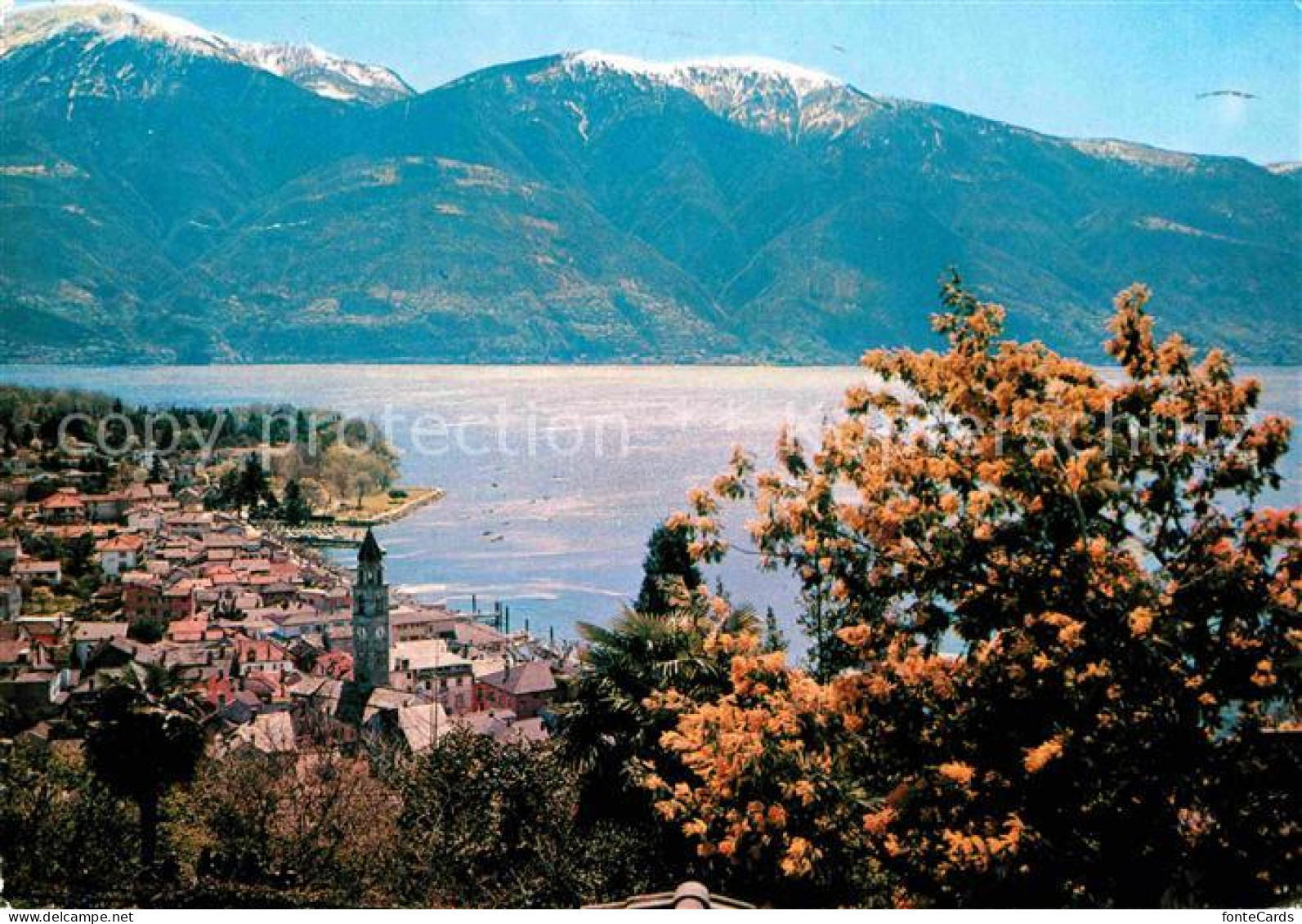 12648983 Ascona Lago Maggiore Panorama Ascona - Autres & Non Classés