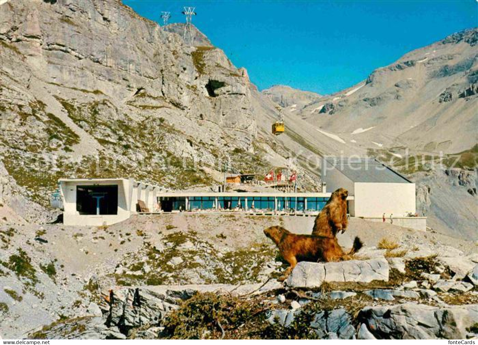 12647764 Crans-Montana Restaurant Des Violettes Depart Du Telepherique De La Pla - Sonstige & Ohne Zuordnung