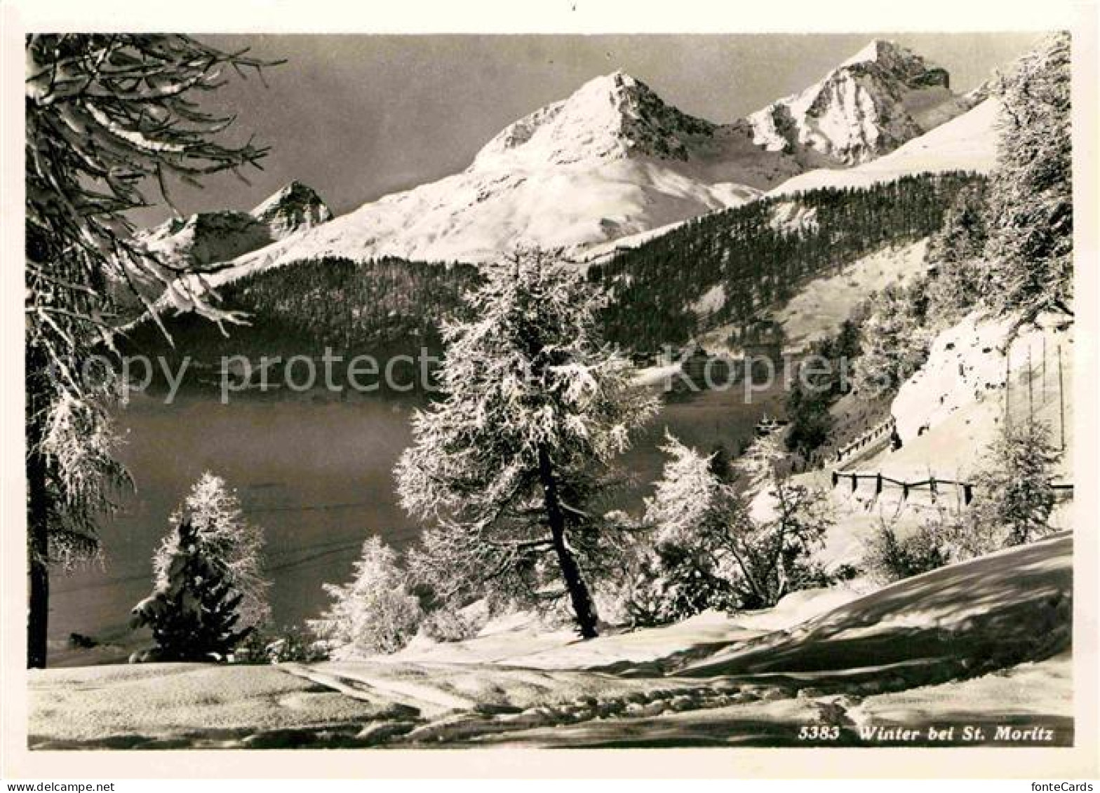 12647734 St Moritz GR Winter In Den Alpen St Moritz - Andere & Zonder Classificatie