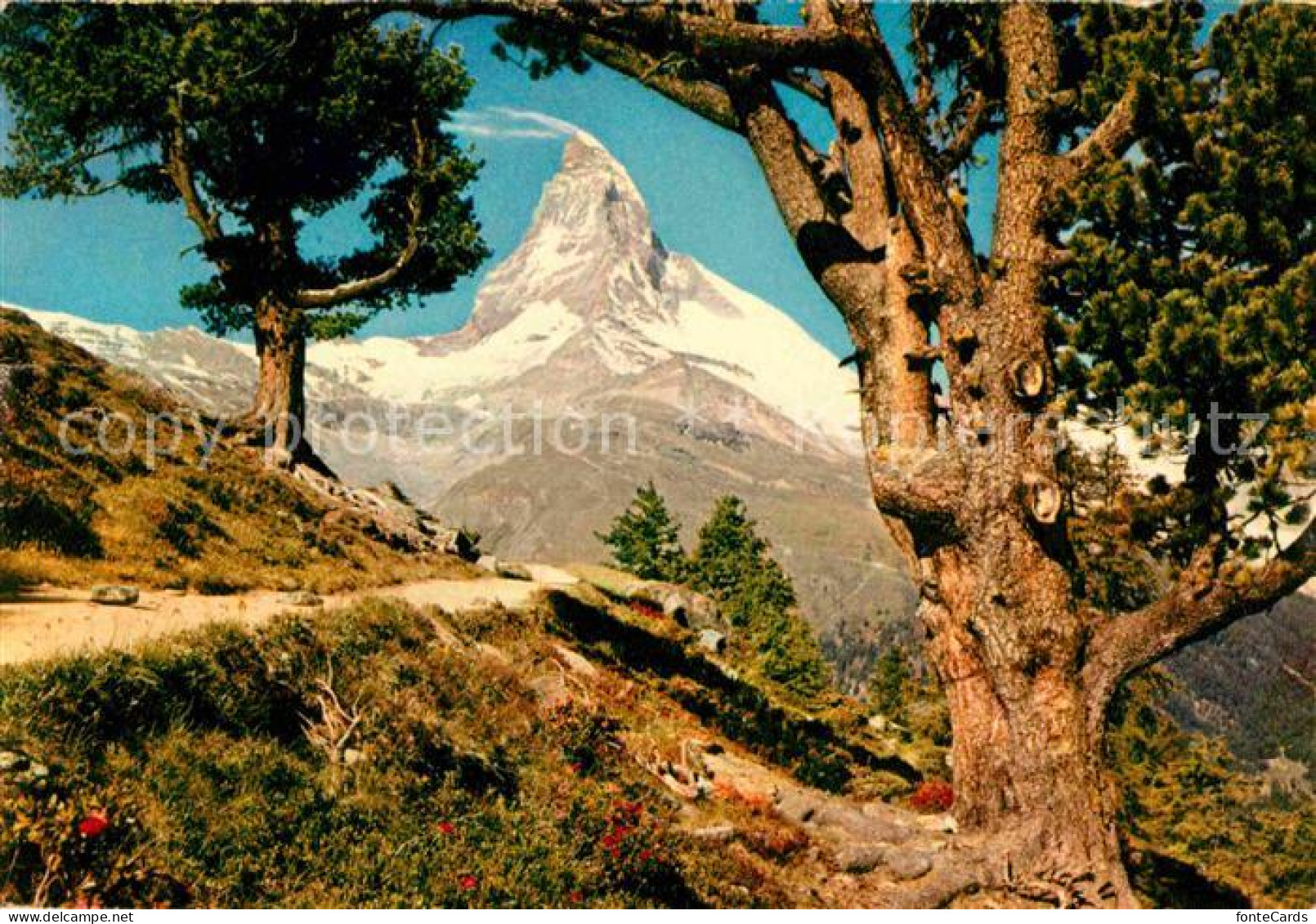12647732 Zermatt VS Gebirgspanorama Mit Matterhorn Walliser Alpen Zermatt - Sonstige & Ohne Zuordnung